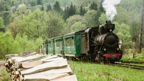 Waldschienenschlange in Bieszczady. 60 km (Nur im Sommer)