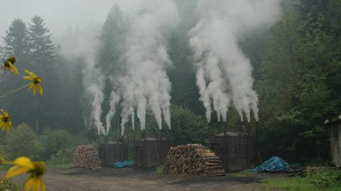 Wypał węgla drzewnego - plenerowe muzeum wypału w Mucznem
