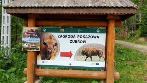 Zagroda żubrów