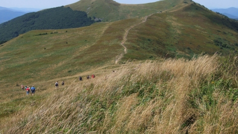 Bike trials, walking path