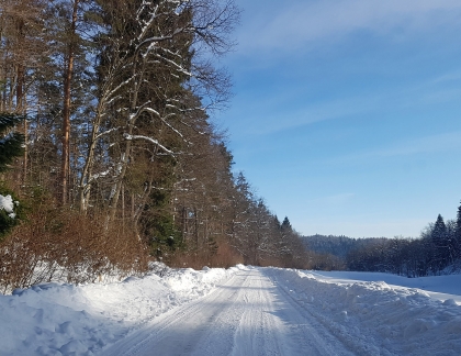 Zapraszamy na ferie w Bieszczady